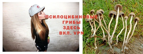 тгк Балахна