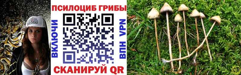 где можно купить   Кудымкар  Галлюциногенные грибы ЛСД 