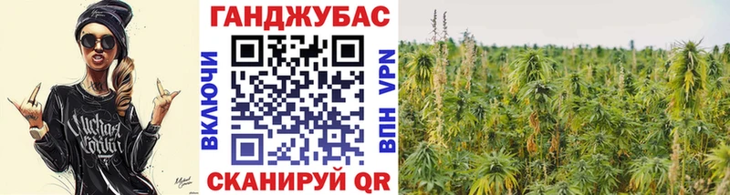 кракен как зайти  продажа наркотиков  Кудымкар  Канабис Bruce Banner 